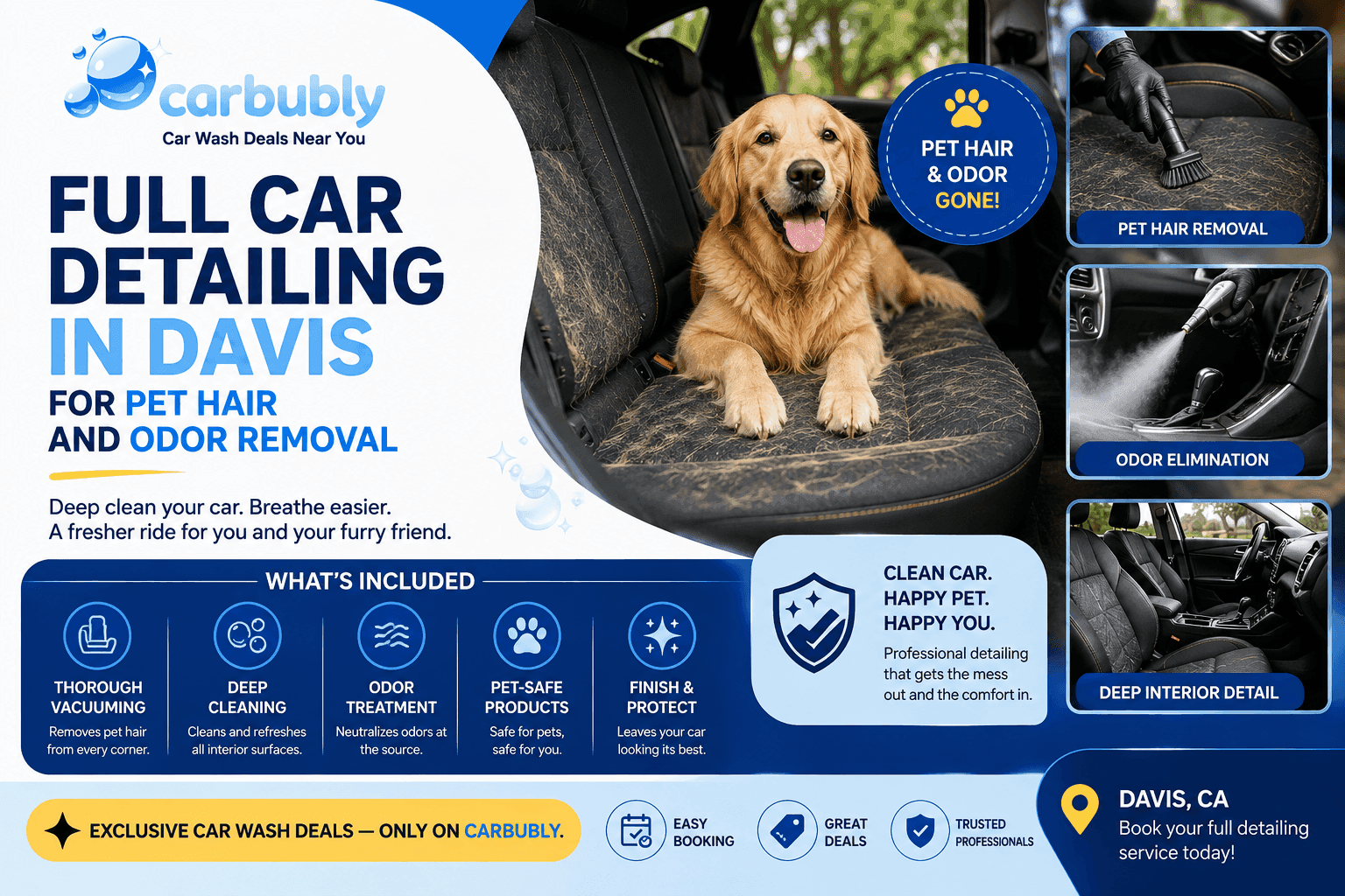 Full Car Detailing in Davis for Pet Hair and Odor Removal