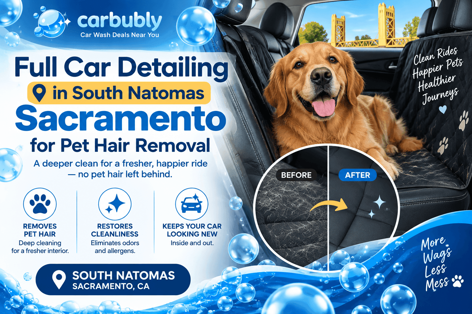Full Car Detailing in South Natomas Sacramento for Pet Hair Removal