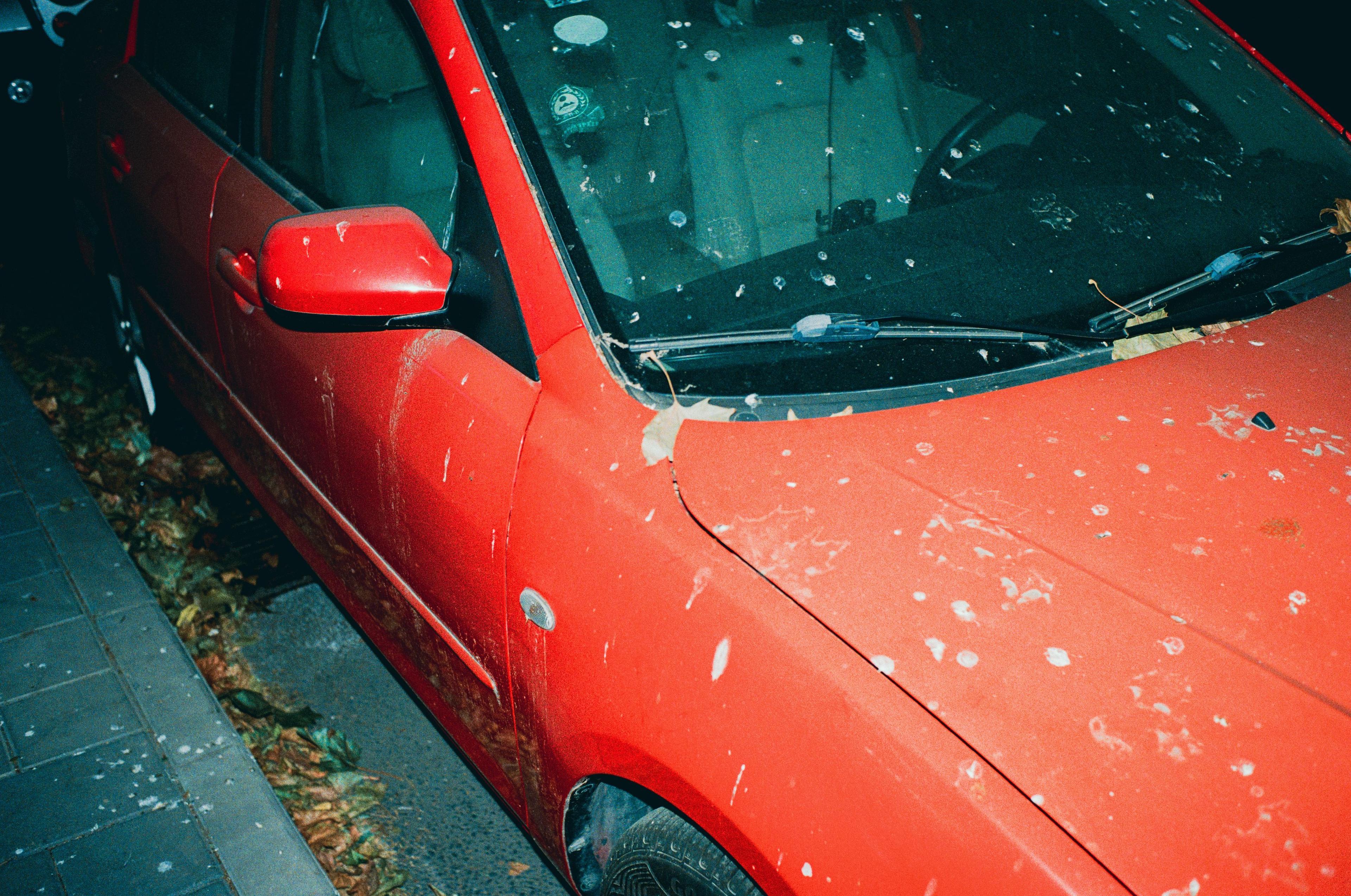 Roseville Car Wash Deals: Bug Splatter & Road Tar Removal